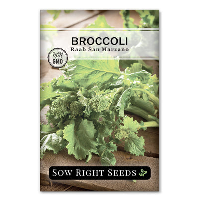 San Marzano Broccoli Raab