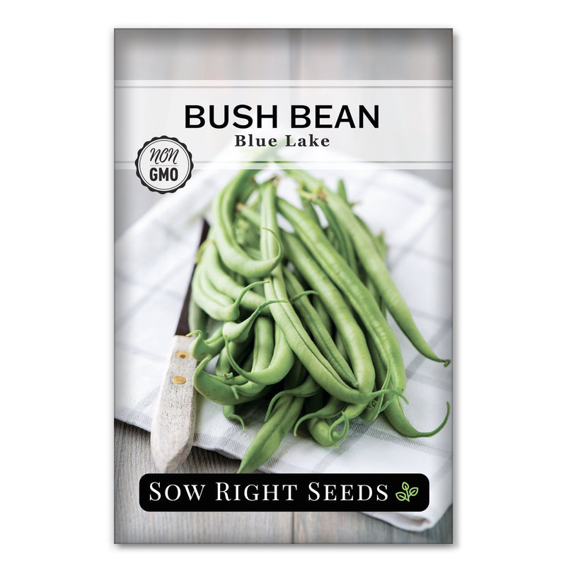 planting blue lake bush bean seeds Blue Lake Bush Bean Seeds