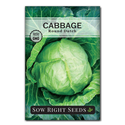 round dutch cabbage seed packet vegetables sow right seeds