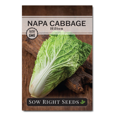 hilton napa cabbage seed packet vegetables sow right seeds