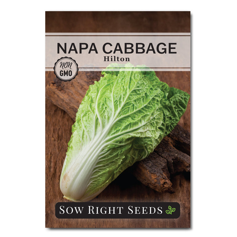 hilton napa cabbage seed packet vegetables sow right seeds