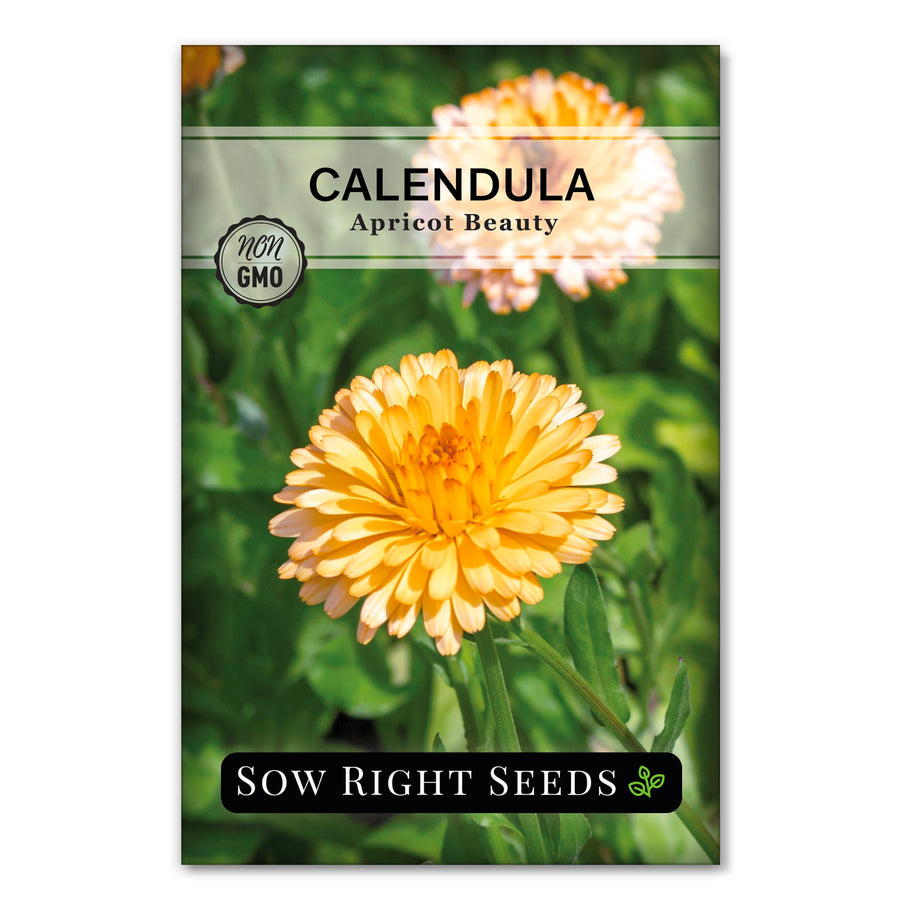 Annual Flower Seeds for Sale | Colorful Summer Blooms  Sow Right Seeds