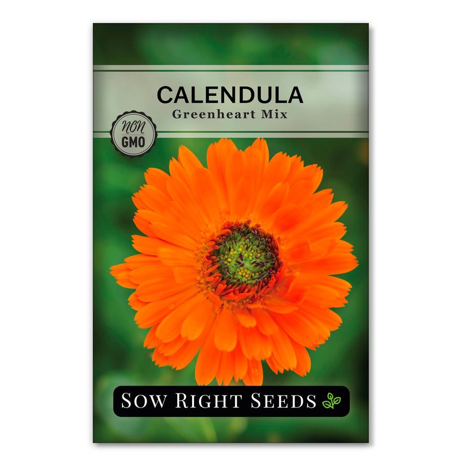 Calendula Flower Seeds | Bright and Unique Medicinal Herb to Grow