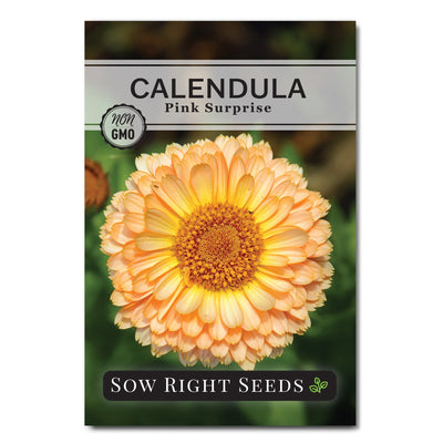 pink surprise calendula seed packet flowers sow right seeds