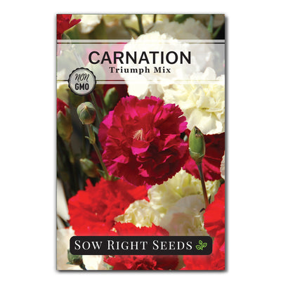 triumph mix carnation seed packet flowers sow right seeds