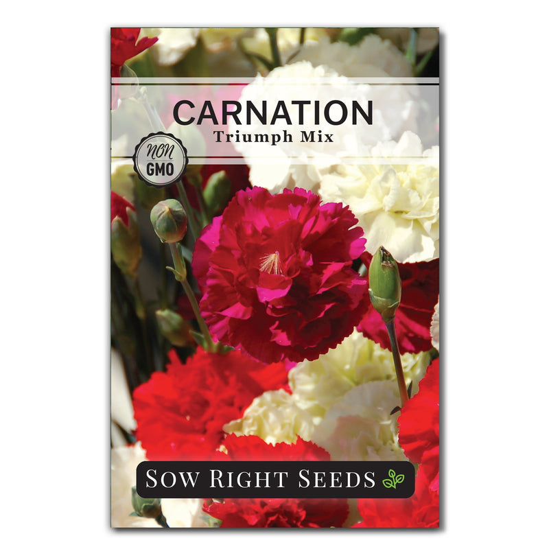 triumph mix carnation seed packet flowers sow right seeds