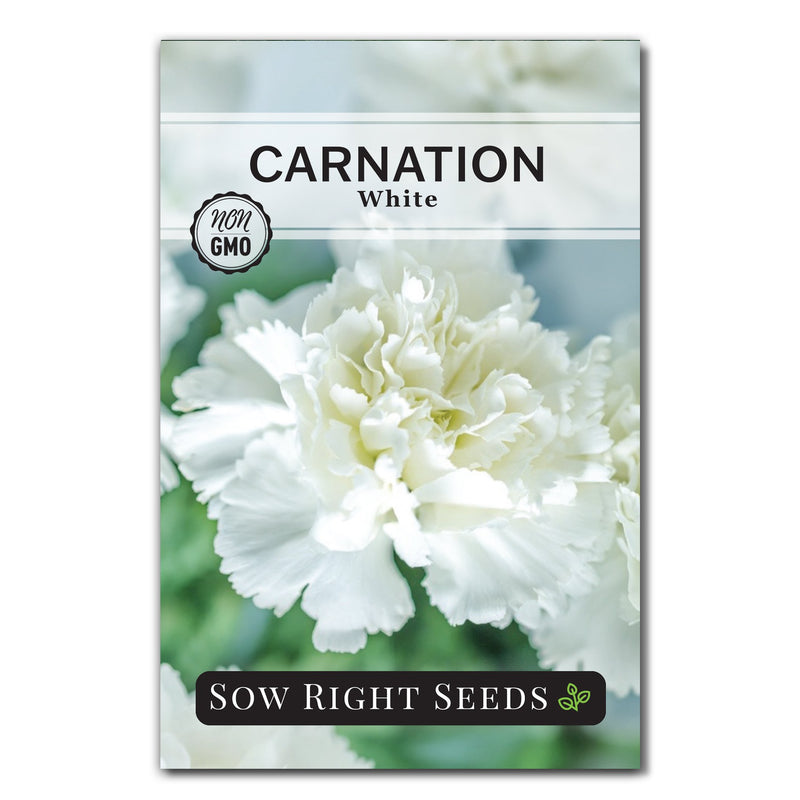white carnation seed packet flowers sow right seeds