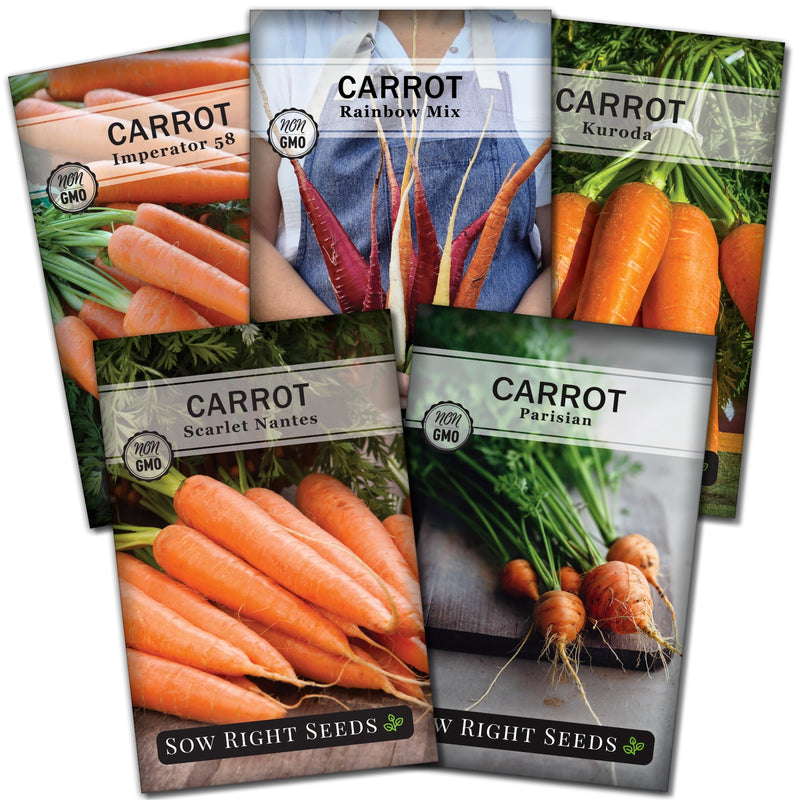 carrot seed collection imperator rainbow mix kuroda scarlet nantes parisian vegetables sow right seeds