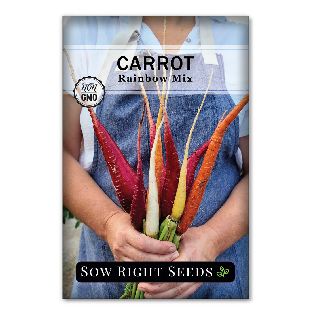 Rainbow Mix Carrot Seeds for Planting | Sweet, Crisp