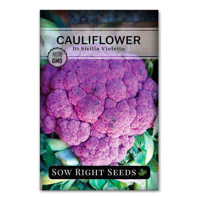 Di Sicilia Violetto Cauliflower