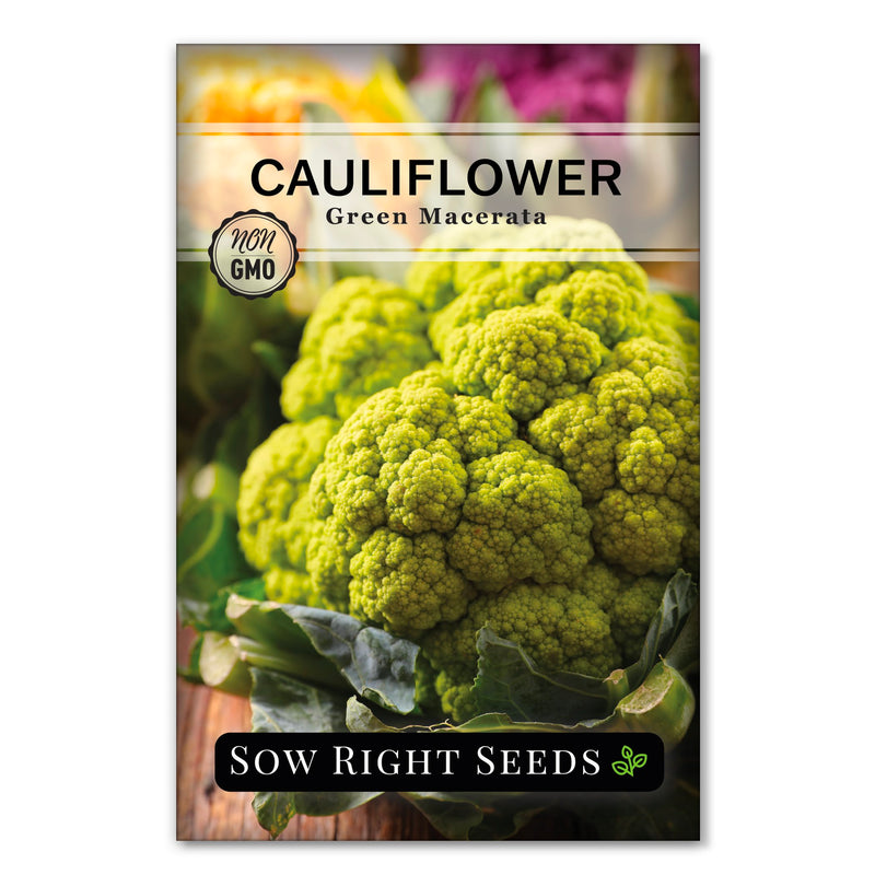 Green Macerata Cauliflower