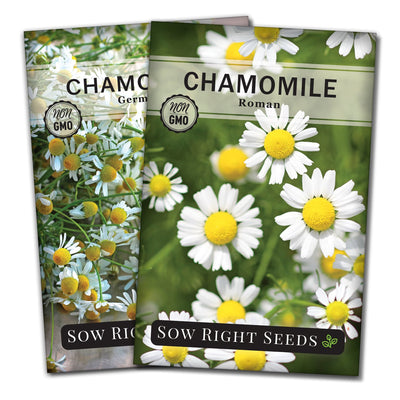 chamomile seed collection german roman herbs sow right seeds