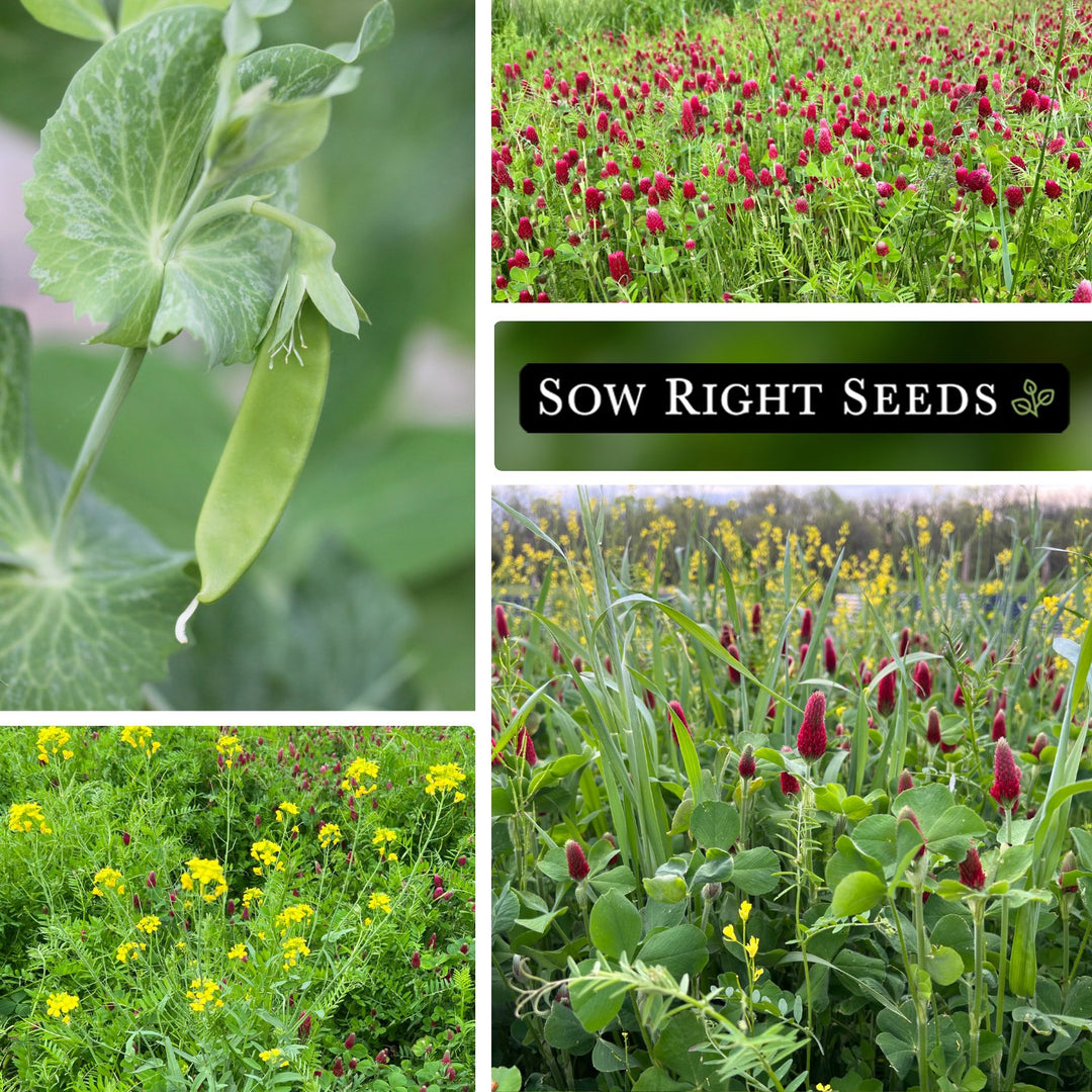 no-till farm and garden cover crop mix seeds Cover Crop Seed Mix for Planting