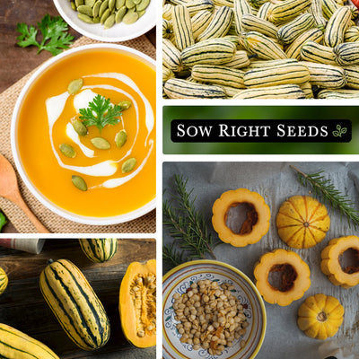 delicata winter squash seeds soup large harvest sliced on table sliced seeds in bowl