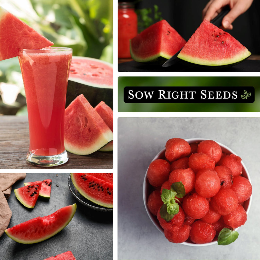Sugar Baby Watermelon Seeds for Planting Compact Variety – Sow