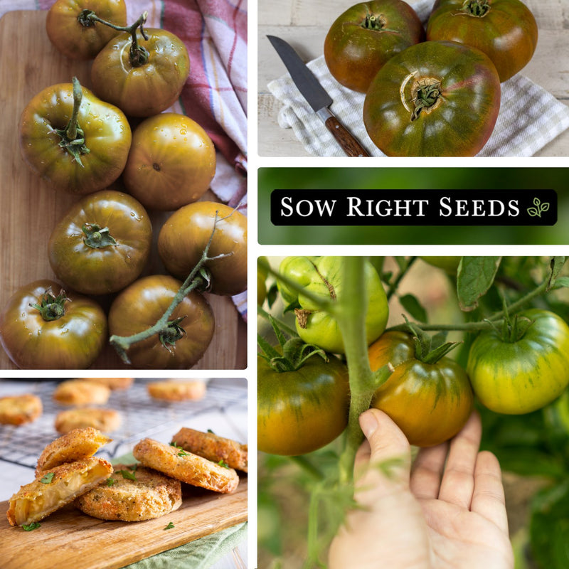 cherokee green tomato seeds collage harvest on table breaded fried growing in garden in hand