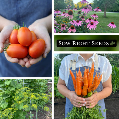 complete garden collection seed collage tomato harvest echinacea coneflower dill carrot harvest