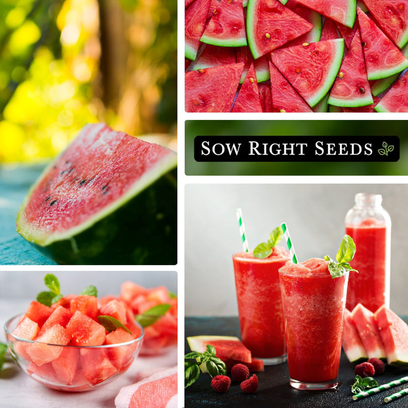 crimson sweet watermelon seeds sliced harvest cubed in bowl lemonade iced drinks