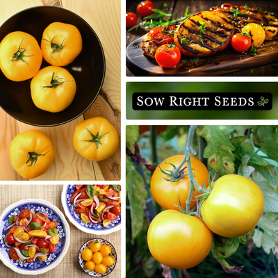 garden peach tomato seeds collage harvest in bowl grilled cooked sliced bruschetta growing in garden