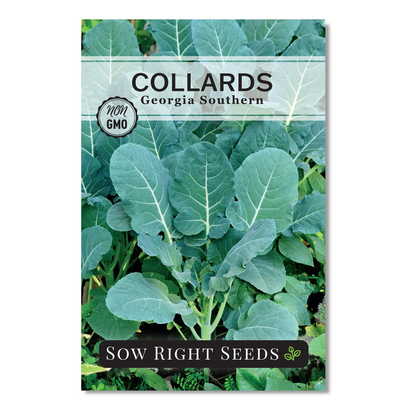 georgia southern collards seed packet vegetables sow right seeds