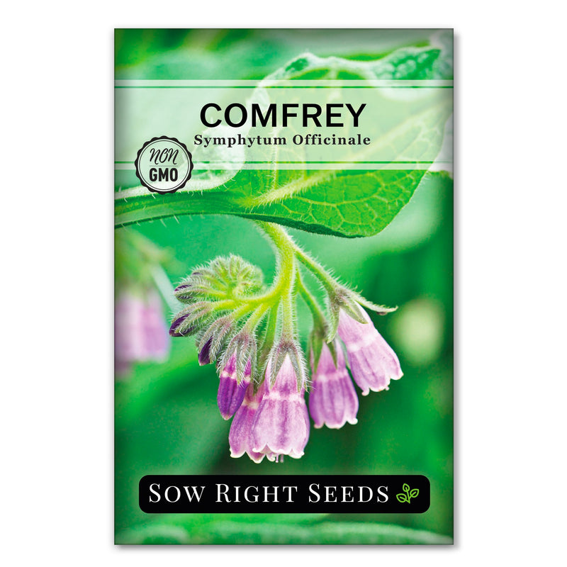 comfrey seed packet