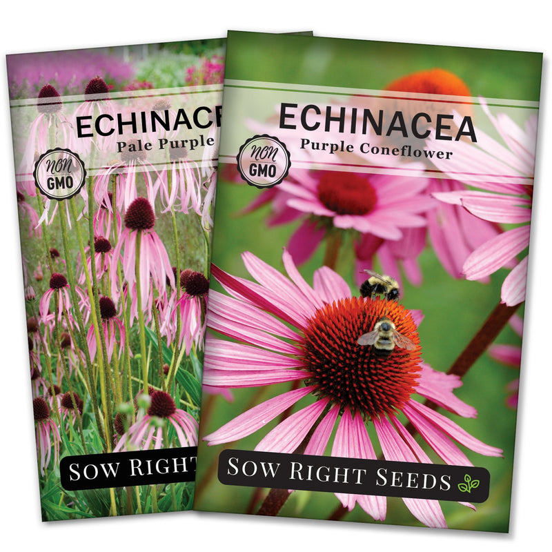 Coneflowers Collection