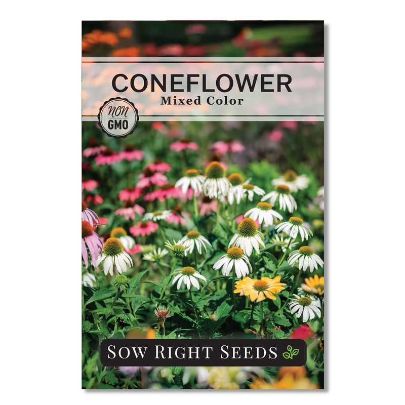 mixed color coneflower seed packet flowers sow right seeds