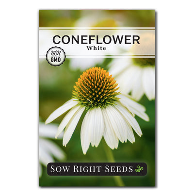 white coneflower seed packet flowers sow right seeds