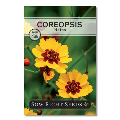 plains coreopsis seed packet flowers sow right seeds