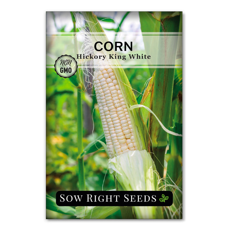 Rare Corn Collection