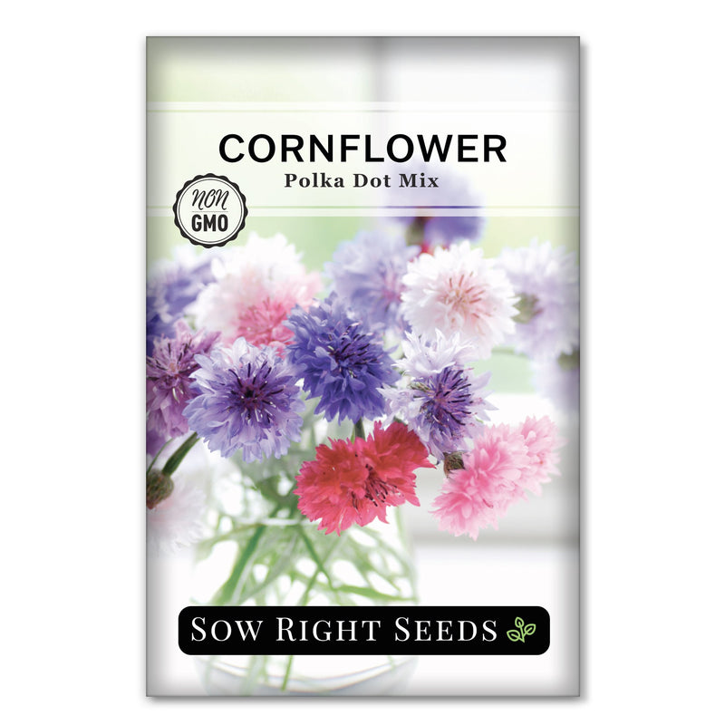 polka dot plant seeds for sale Polka Dot Mix Cornflower – Sow Right Seeds