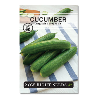 english telegraph cucumber seed packet vegetables sow right seeds
