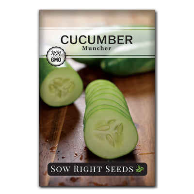 muncher cucumber seed packet vegetables sow right seeds