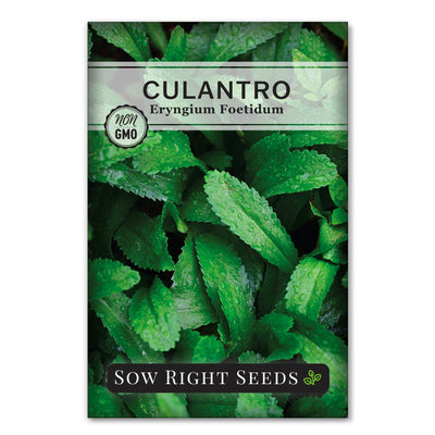 culantro seed packet herb sow right seeds