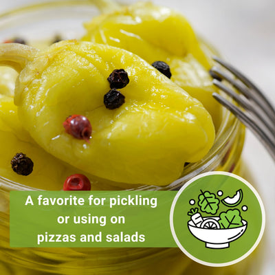 greek golden pepperoncini a favorite for pickling or using on pizzas and salads