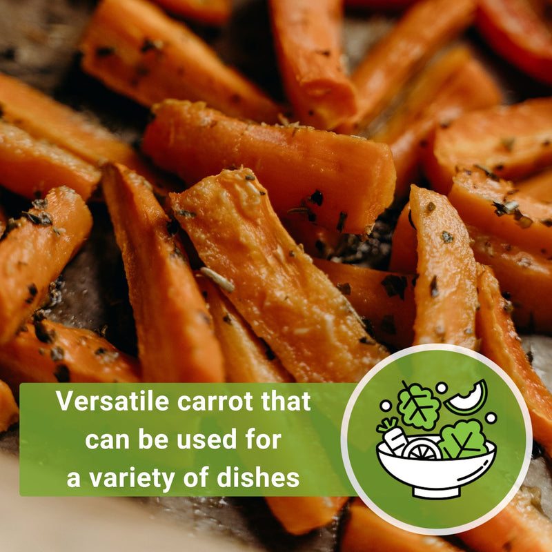 danvers carrots seeds versatile carrot that can be used for a variety of dishes