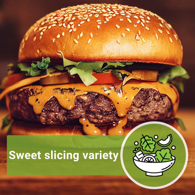 brandywine red tomato seeds sweet slicing variety