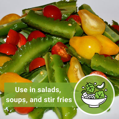 winged bean seeds use in salads soups and stir fries