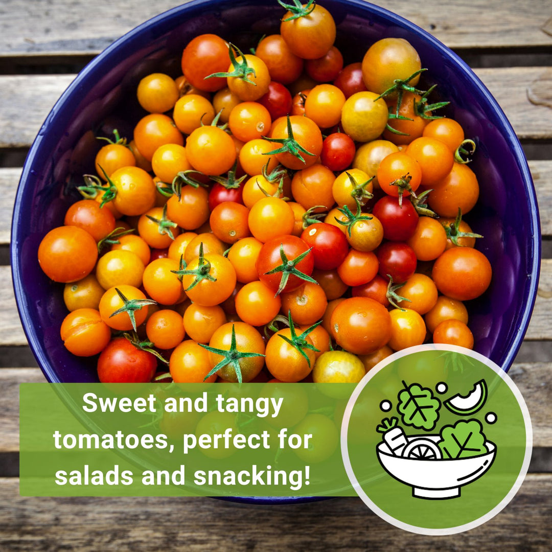 CulinaryImage_2_2d5fc3b6-219e-