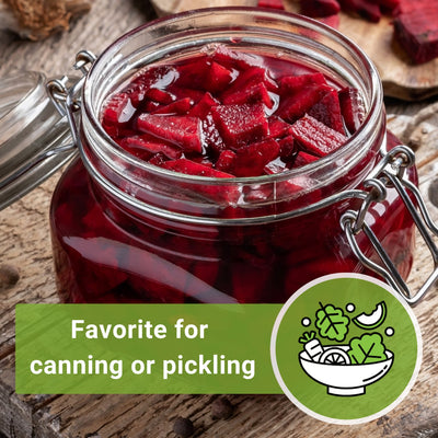 ruby queen beet seeds favorite for canning or pickling