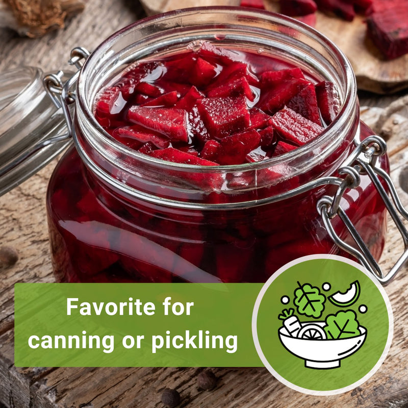 ruby queen beet seeds favorite for canning or pickling