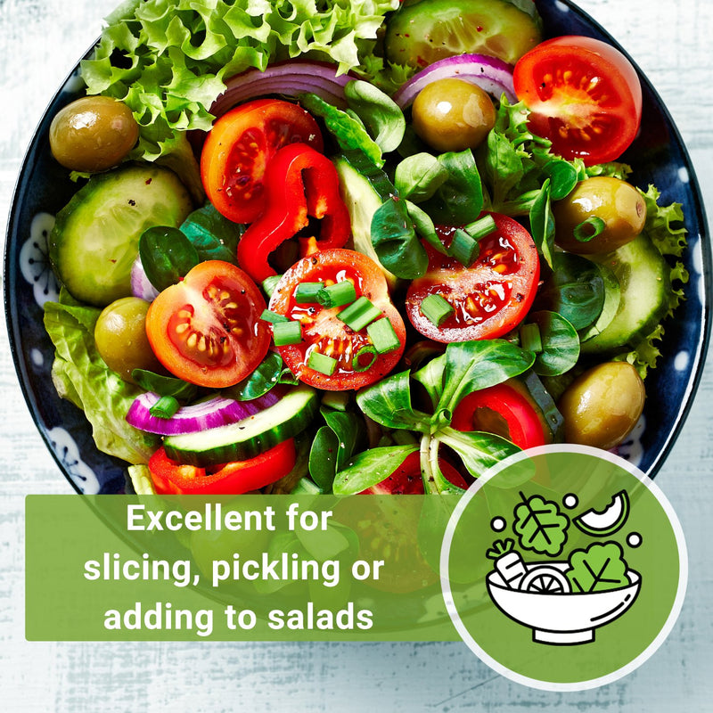 muncher cucumber seeds excellent for slicing pickling or adding to salads