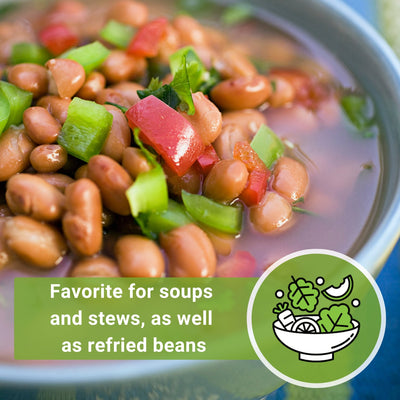 pinto dry bean seeds favorite for soups and stews as well as refried beans