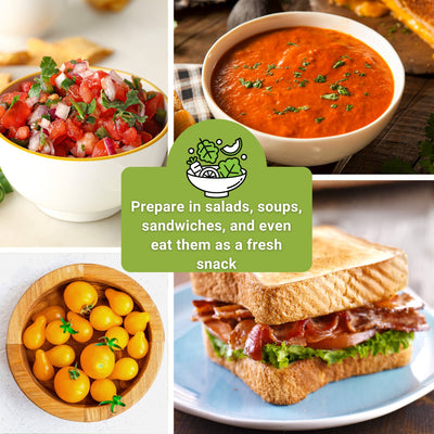 tomato 10 collection prepare in salads, soups, sandwiches, and even eat them as a fresh snack