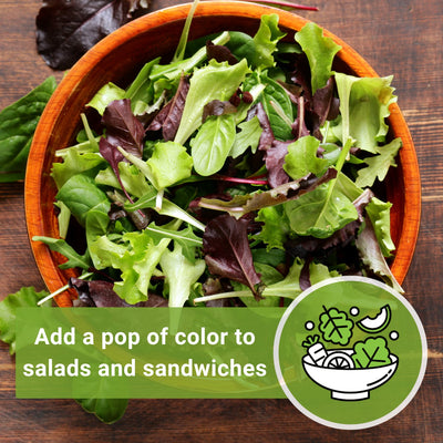 red romaine lettuce seeds add a pop of color to salads and sandwiches