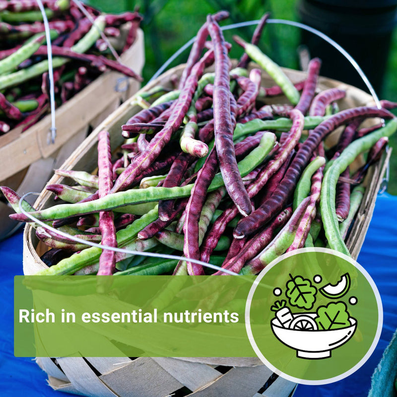 top pick pinkeye cowpea seeds rich in essential nutrients