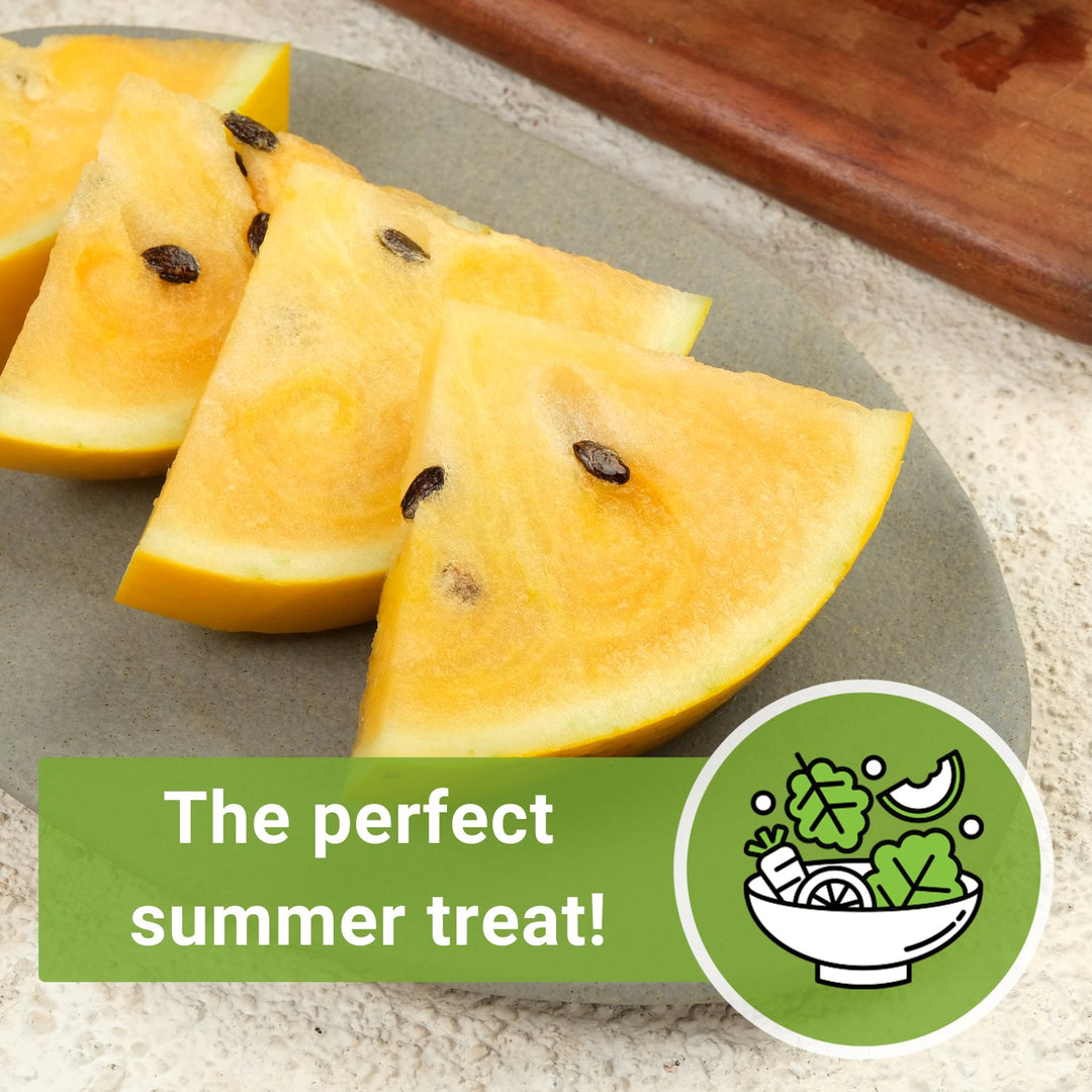 Orange Glo Watermelon – Sow Right Seeds