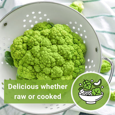 Green Macerata Cauliflower