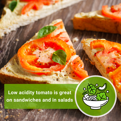 hillbilly tomato seeds low acidity is great on sandwiches and in salads