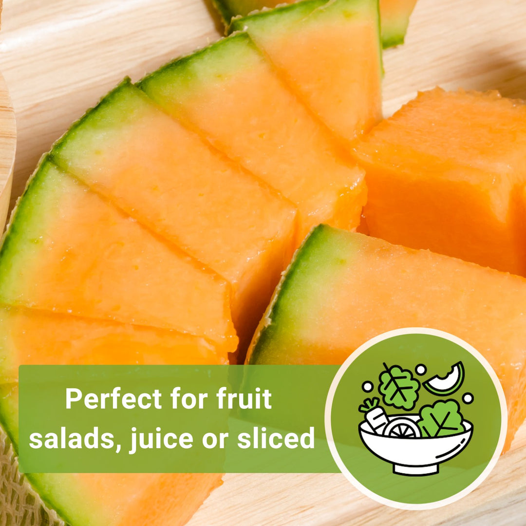 Honey Rock Melon Seeds for Planting | Productive Cantaloupe – Sow